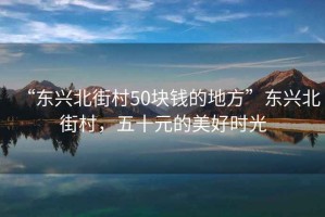“東興北街村50塊錢的地方”東興北街村，五十元的美好時光