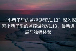 “小巷子里的監控游戲V1.13”深入探索小巷子里的監控游戲V1.13，最新進展與獨特體驗