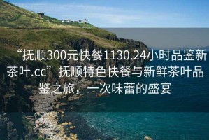 “撫順300元快餐1130.24小時品鑒新茶葉.cc”撫順特色快餐與新鮮茶葉品鑒之旅，一次味蕾的盛宴