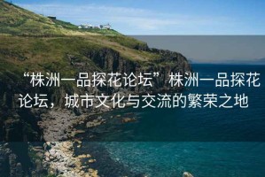 “株洲一品探花論壇”株洲一品探花論壇，城市文化與交流的繁榮之地