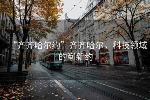 “齊齊哈爾約”齊齊哈爾，科技領(lǐng)域的嶄新約