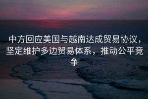 中方回應美國與越南達成貿易協議，堅定維護多邊貿易體系，推動公平競爭