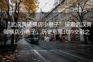 “武漢黃陂橫店小巷子”探索武漢黃陂橫店小巷子，歷史與現代的交融之地