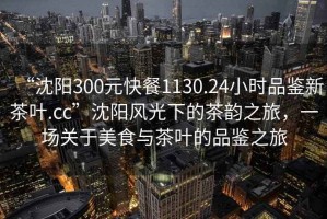 “沈陽300元快餐1130.24小時品鑒新茶葉.cc”沈陽風光下的茶韻之旅，一場關于美食與茶葉的品鑒之旅