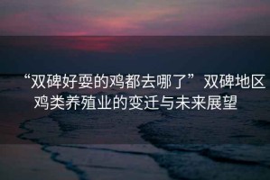 “雙碑好耍的雞都去哪了”雙碑地區雞類養殖業的變遷與未來展望