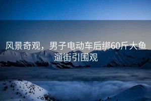 風景奇觀，男子電動車后綁60斤大魚遛街引圍觀