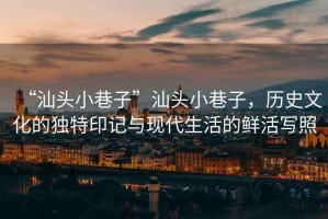 “汕頭小巷子”汕頭小巷子，歷史文化的獨特印記與現代生活的鮮活寫照