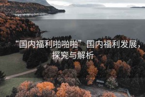 “國內福利啪啪啪”國內福利發展，探究與解析