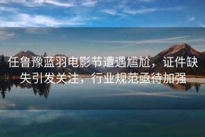 任魯豫藍羽電影節遭遇尷尬，證件缺失引發關注，行業規范亟待加強