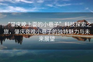 “肇慶晚上耍的小巷子”科技探索之旅，肇慶夜晚小巷子的獨特魅力與未來展望