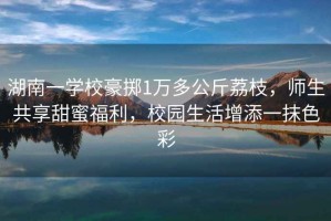 湖南一學校豪擲1萬多公斤荔枝，師生共享甜蜜福利，校園生活增添一抹色彩