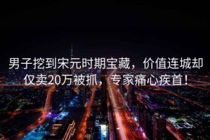 男子挖到宋元時期寶藏，價值連城卻僅賣20萬被抓，專家痛心疾首！