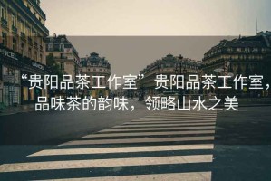 “貴陽品茶工作室”貴陽品茶工作室，品味茶的韻味，領略山水之美