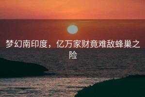 夢幻南印度，億萬家財竟難敵蜂巢之險