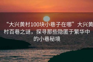 “大興黃村100塊小巷子在哪”大興黃村百巷之謎，探尋那些隱匿于繁華中的小巷秘境