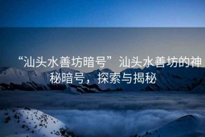 “汕頭水善坊暗號”汕頭水善坊的神秘暗號，探索與揭秘