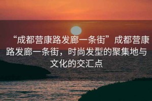 “成都營康路發廊一條街”成都營康路發廊一條街，時尚發型的聚集地與文化的交匯點