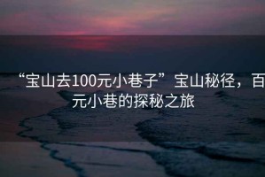 “寶山去100元小巷子”寶山秘徑，百元小巷的探秘之旅