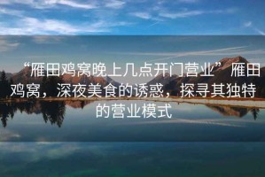 “雁田雞窩晚上幾點(diǎn)開門營業(yè)”雁田雞窩，深夜美食的誘惑，探尋其獨(dú)特的營業(yè)模式