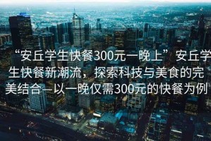 “安丘學生快餐300元一晚上”安丘學生快餐新潮流，探索科技與美食的完美結合—以一晚僅需300元的快餐為例