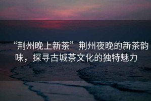 “荊州晚上新茶”荊州夜晚的新茶韻味，探尋古城茶文化的獨特魅力
