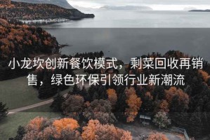 小龍坎創新餐飲模式，剩菜回收再銷售，綠色環保引領行業新潮流