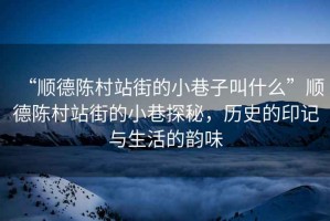 “順德陳村站街的小巷子叫什么”順德陳村站街的小巷探秘，歷史的印記與生活的韻味