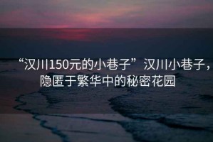 “漢川150元的小巷子”漢川小巷子，隱匿于繁華中的秘密花園