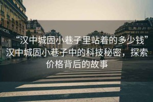 “漢中城固小巷子里站著的多少錢”漢中城固小巷子中的科技秘密，探索價格背后的故事