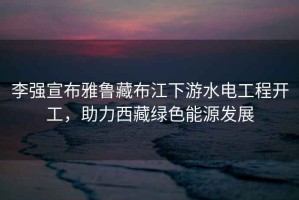 李強宣布雅魯藏布江下游水電工程開工，助力西藏綠色能源發展