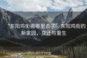 “東陽雞街搬哪里去了”東陽雞街的新家園，變遷與重生