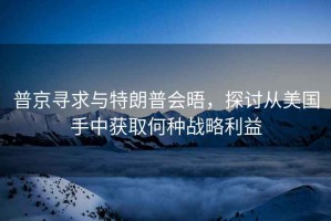 普京尋求與特朗普會晤，探討從美國手中獲取何種戰略利益