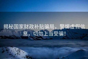 揭秘國家財政補(bǔ)貼騙局，警惕虛假信息，切勿上當(dāng)受騙！