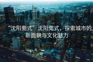 “沈陽莞式”沈陽莞式，探索城市的新面貌與文化魅力