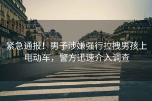 緊急通報！男子涉嫌強行拉拽男孩上電動車，警方迅速介入調查