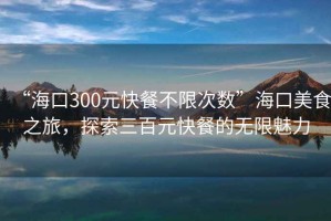 “海口300元快餐不限次數”海口美食之旅，探索三百元快餐的無限魅力