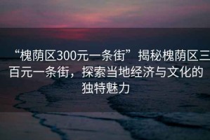 “槐蔭區300元一條街”揭秘槐蔭區三百元一條街，探索當地經濟與文化的獨特魅力