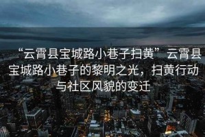 “云霄縣寶城路小巷子掃黃”云霄縣寶城路小巷子的黎明之光，掃黃行動與社區(qū)風(fēng)貌的變遷