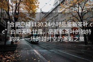 “合肥空降1130.24小時品鑒新茶葉.cc”合肥天降甘露，品鑒新茶葉的獨特韻味—一場跨越時空的邂逅之旅