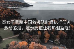 泰女子目睹中國救援隊赴緬執(zhí)行任務，激動落淚，這份友誼讓我熱淚盈眶！