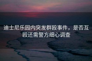 迪士尼樂園內突發群毆事件，是否互毆還需警方細心調查