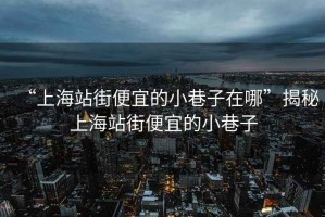 “上海站街便宜的小巷子在哪”揭秘上海站街便宜的小巷子