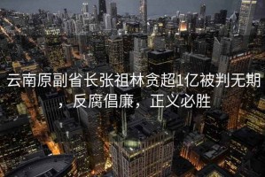 云南原副省長張祖林貪超1億被判無期，反腐倡廉，正義必勝