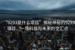 “9293是什么項目”揭秘神秘的9293項目，一場科技與未來的交匯點