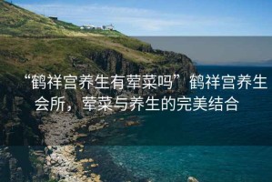 “鶴祥宮養生有葷菜嗎”鶴祥宮養生會所，葷菜與養生的完美結合