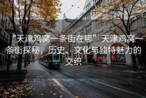 “天津雞窩一條街在哪”天津雞窩一條街探秘，歷史、文化與獨特魅力的交織