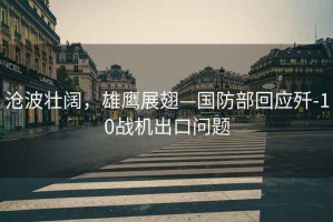 滄波壯闊，雄鷹展翅—國防部回應殲-10戰機出口問題