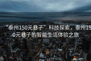 “泰州150元巷子”科技探索，泰州150元巷子的智能生活體驗之旅