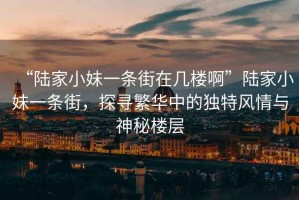“陸家小妹一條街在幾樓啊”陸家小妹一條街，探尋繁華中的獨特風情與神秘樓層