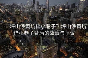 “坪山涉黃坑梓小巷子”坪山涉黃坑梓小巷子背后的故事與爭(zhēng)議